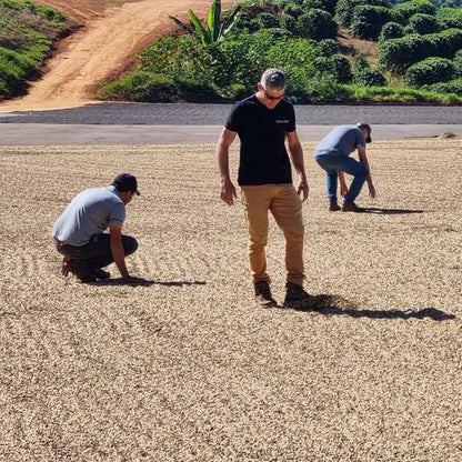 Fazenda Santa Cruz, Brazil | ESPRESSO